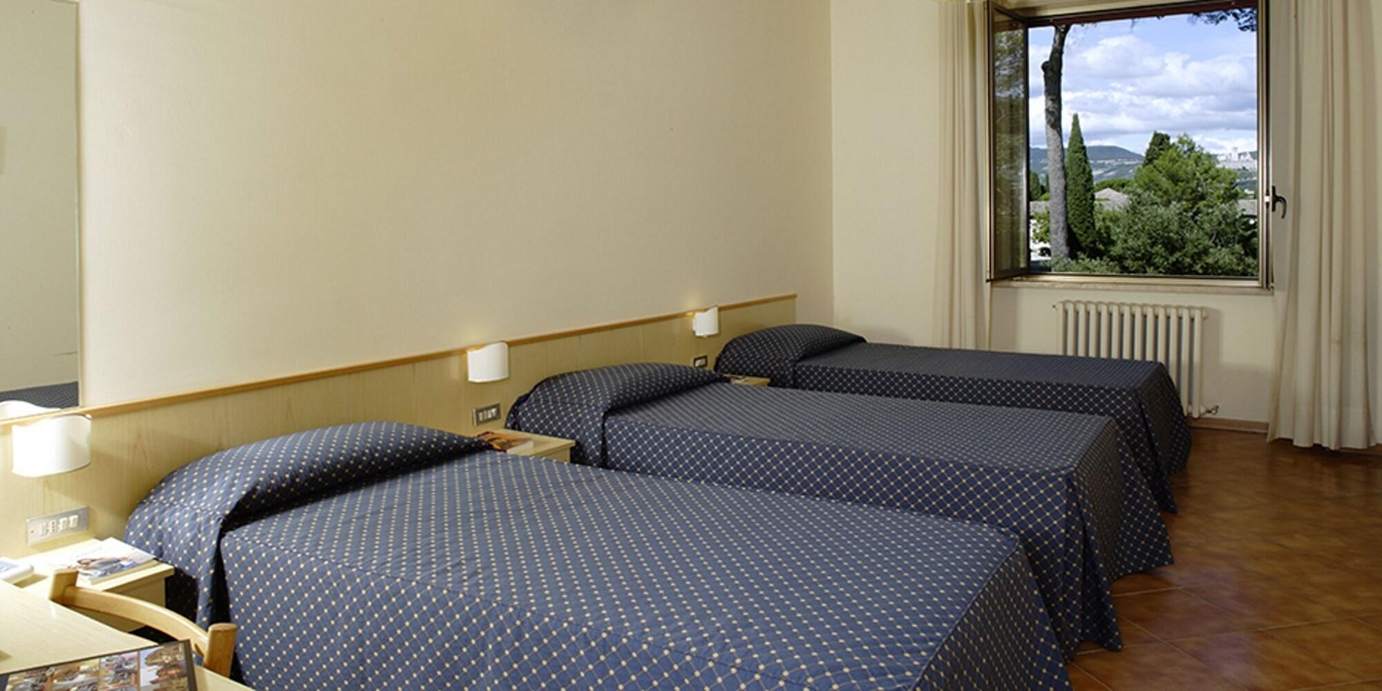 Hotel Domus Pacis 3*